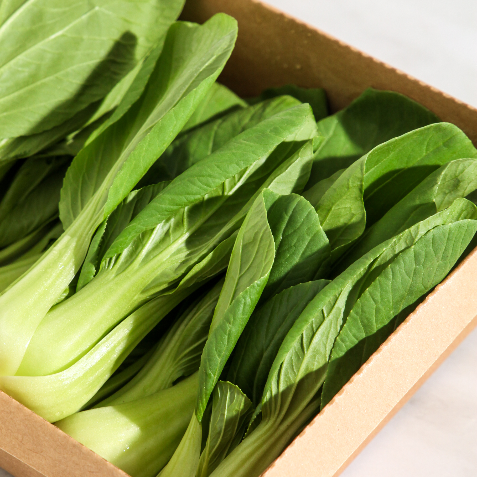 Organic Baby Bokchoy